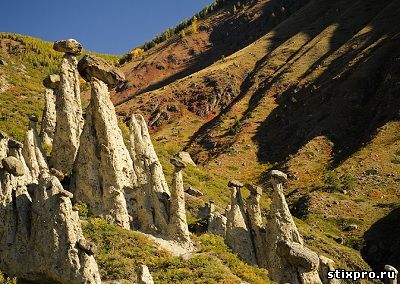 Грибы Аккурума стихи