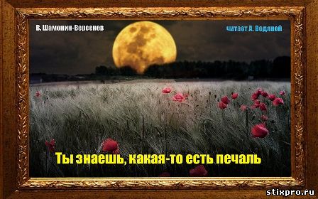 Ты знаешь, какая-то есть печаль.... стихи