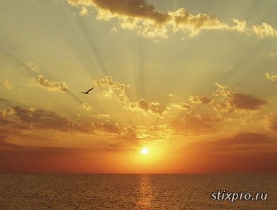 Парчовая заря стихи