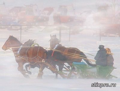 стихи и проза