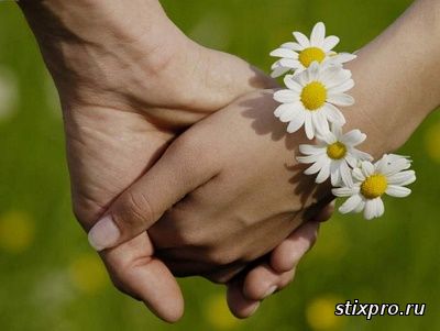 стихи и проза