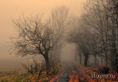 стихи и проза