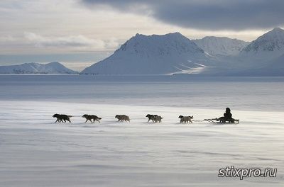 Снежные километры стихи